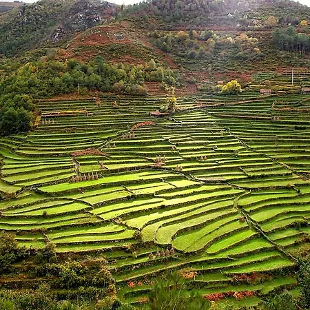 Casa Da Ferreirinha Nyaraló *