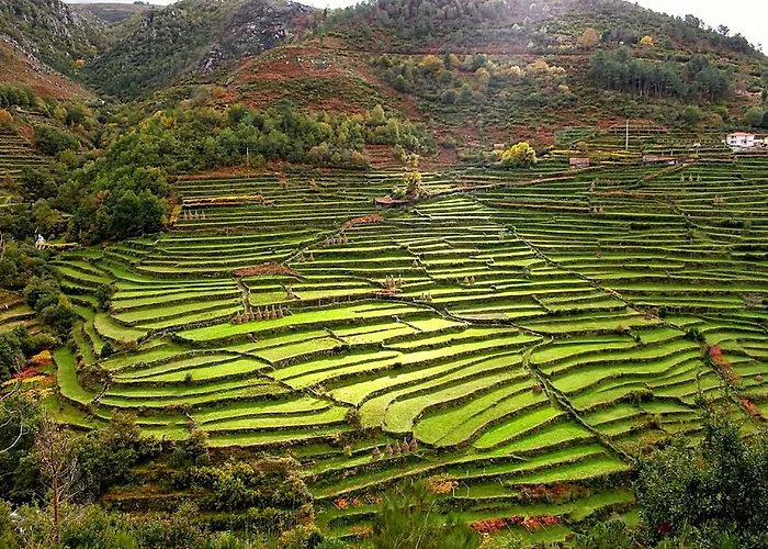 Casa Da Ferreirinha Dom wakacyjny *