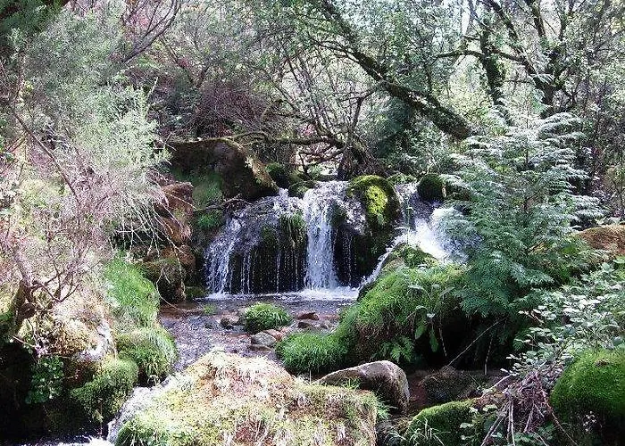 Dom wakacyjny Casa Da Ferreirinha Sistelo
