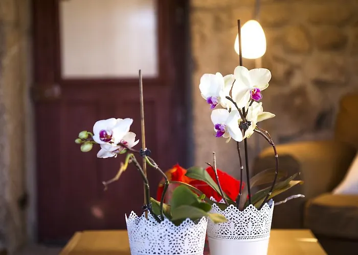 Dom wakacyjny Casa Da Ferreirinha Sistelo